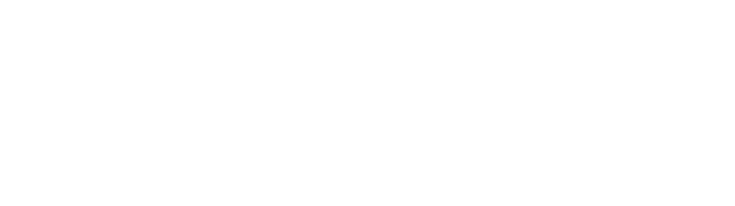 Natours Logo